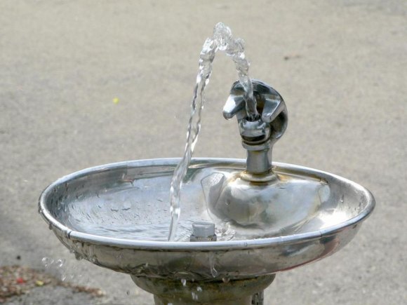 Rosenthal: Bacteria and Elevated Iron Level Found in Early Fountain Testing Water fountains require clean separation from irrigation systems.